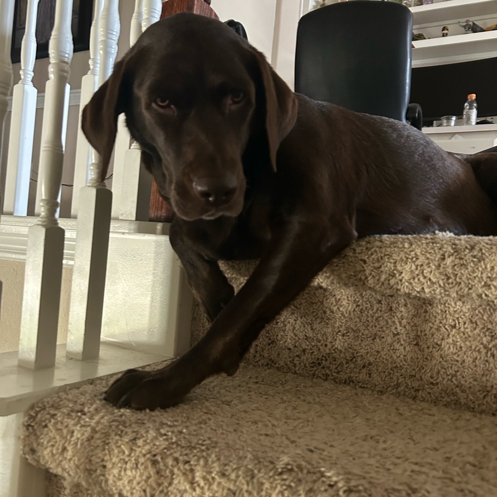 Meet your Posher, Ah